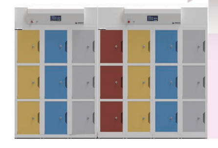 Deshengxin Chemical Reagent Classification Storage Cabinets